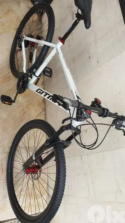Gitma  29" lovers big size bike (brand new)