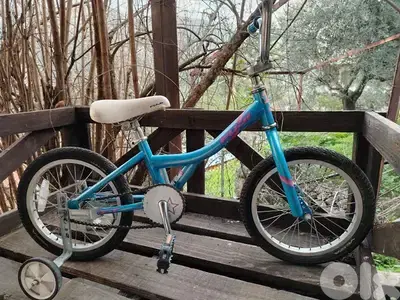 Raleigh 16