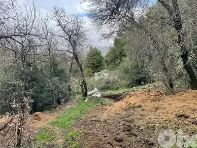 GMK249SS - Land For Sale In Beqaatet Achqout -  أرض للبيع في بقعاتة