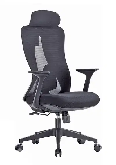 Luxury Ergonomic Office Chairs