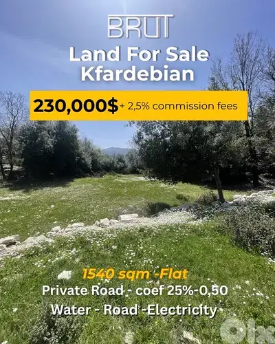1540 Sqm Land for sale in Kfardebian Vill zone -Flat