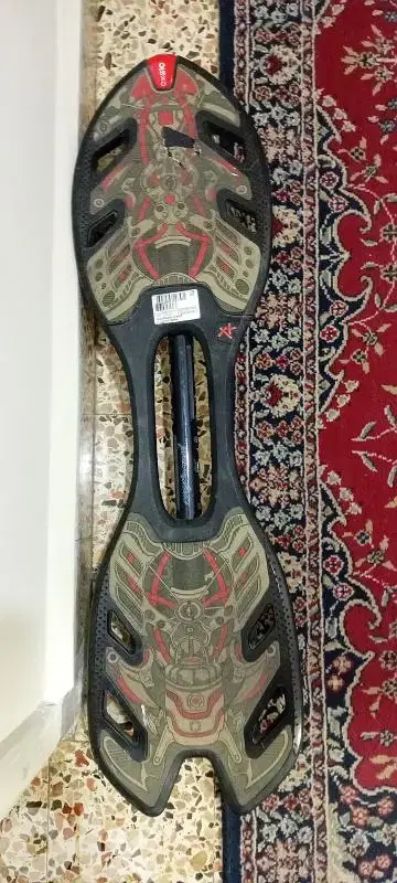 caster board