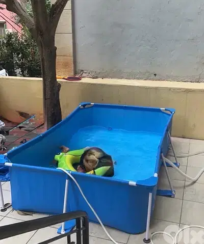 بركة سباحة