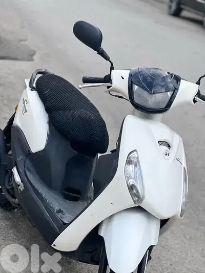 جسر الباشا