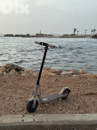 جبل البداوي