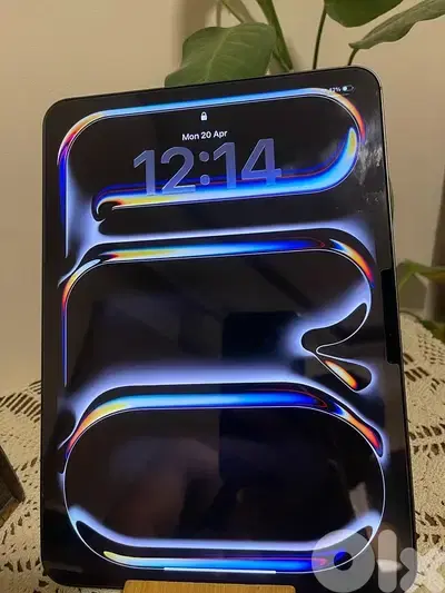 iPad Pro 11inch m4