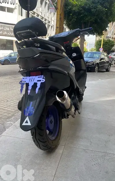 v150 azzo 2025