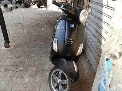 موتسيك