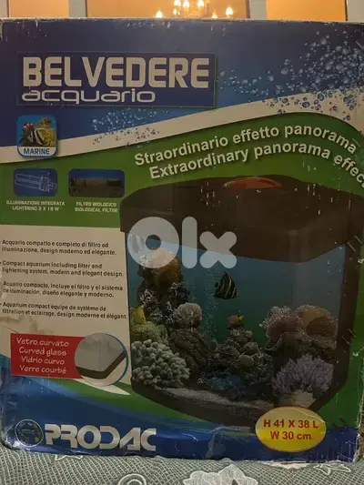 fish equarium