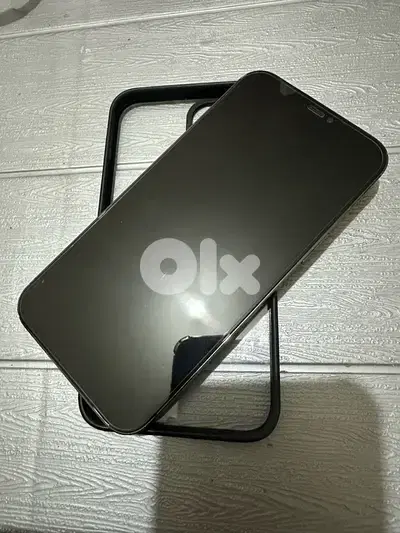 Iphone 12 Pro Max 256GB