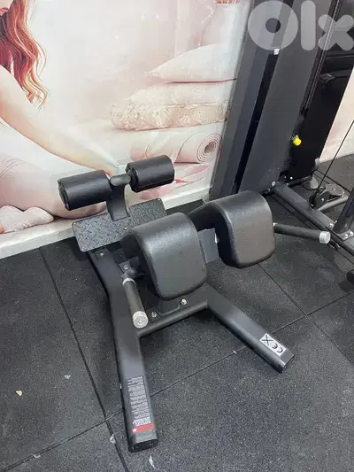 Back extension  best quality