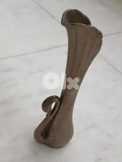 بطة مميزة