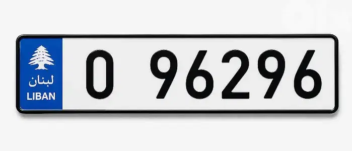 Special number