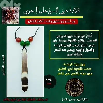 عرق السواحل البحري
