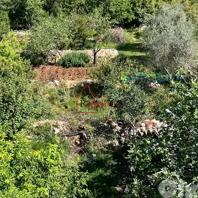 Land for sale in breij أرض للبيع في البريج