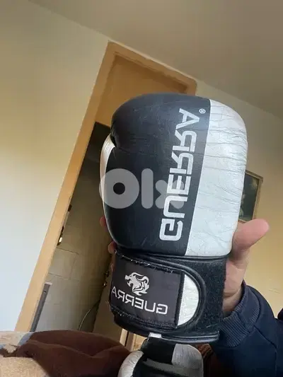 guerra boxing gloves