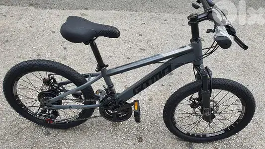 Gitma 20" vitesse  (brand new)