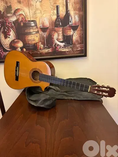 guitar for sale