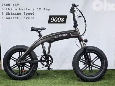 Cabroulat foldable E Bike lithium battery 48v 750W