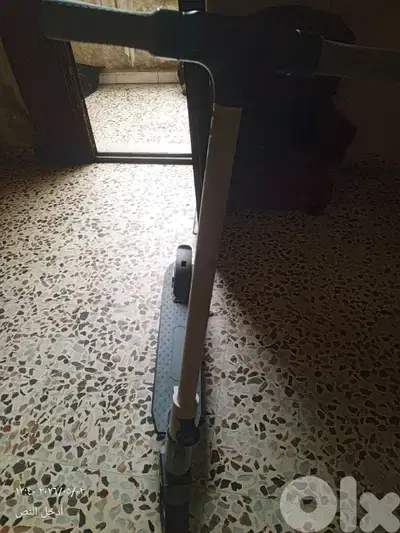 الضاحيه
