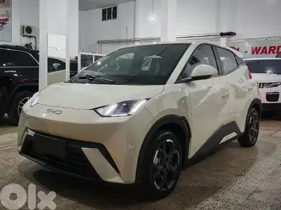 BYD Seagull flying 405 km