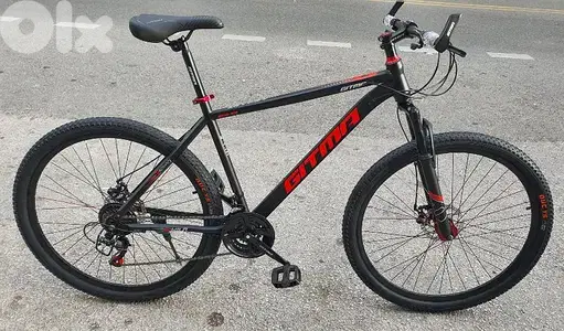 new bike size 29"