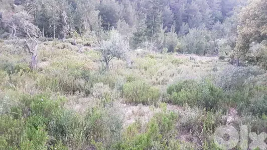 GMN183CM Land for sale in Zgharta - أرض للبيع في زغرتا