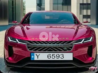 Special Number Y 6593