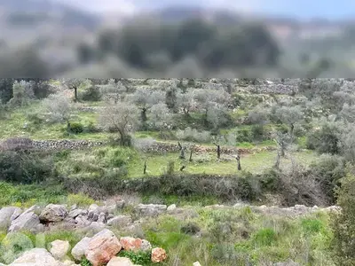 land for sale ارضً للبيع