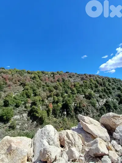 Land for sale in Assia Batrounعقار للييع في اسيا البترون