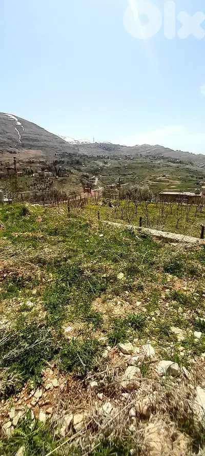 Land for sale in Farayaعقار للبيع في فاريا