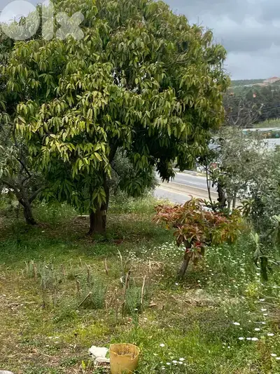 GMB144RM - Land For Sale in Batroun  - أرض للبيع في البترون