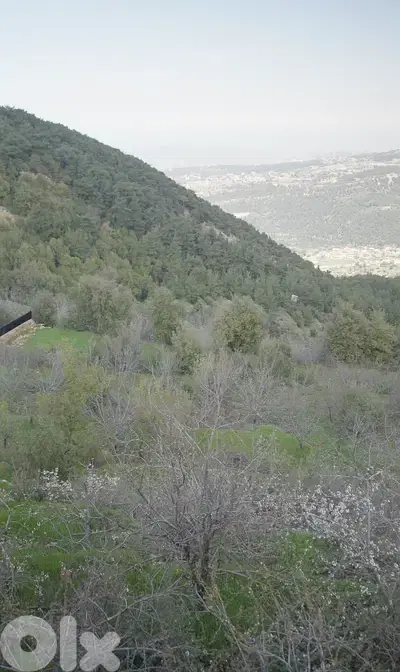 Land for sale in Ejbeh – Zgharta أرض للبيع في إجبع - زغرتا