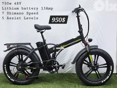 foldable electric bike Fatty New 1000w