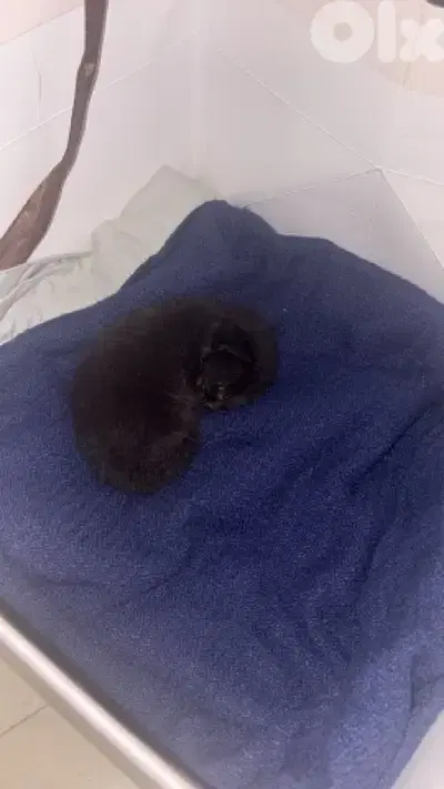 found on the street