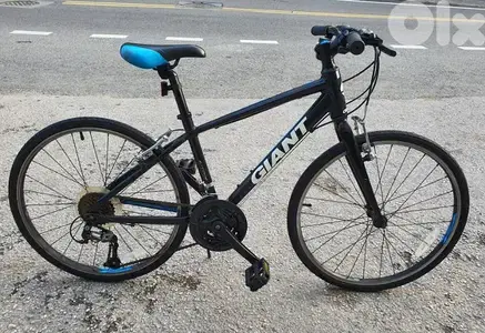 Giant Revel 24" full Aluminium
