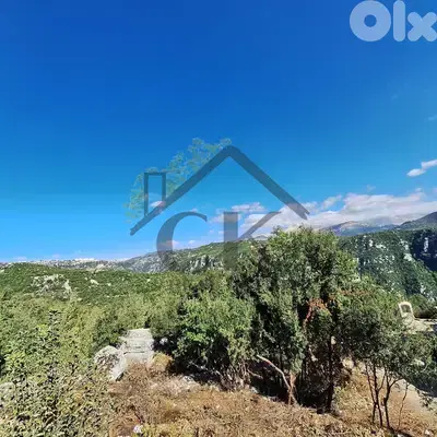 Land for sale in kleiat  أرض للبيع قليعات