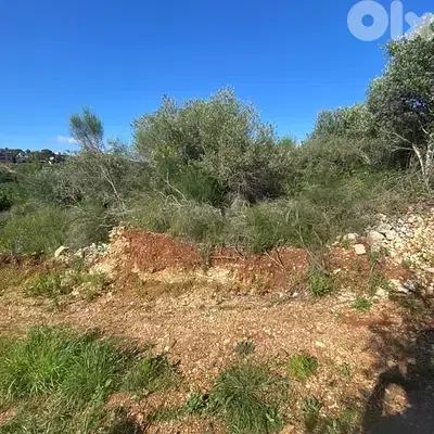 Land For Sale dibbieh | أرض للبيع في الدبية