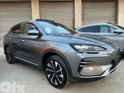 BYD Other 2025