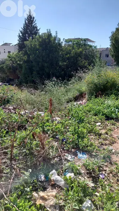 GMB287SZ -Land For sale In Amchit - أرض للبيع في عمشيت