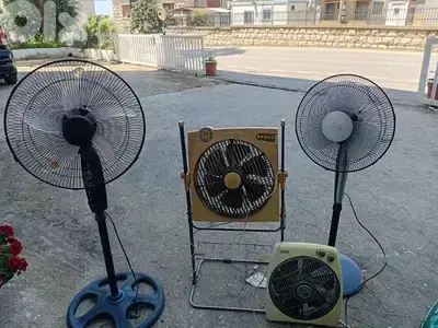 مرواح عدد٤ جيدين