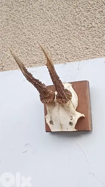 antique