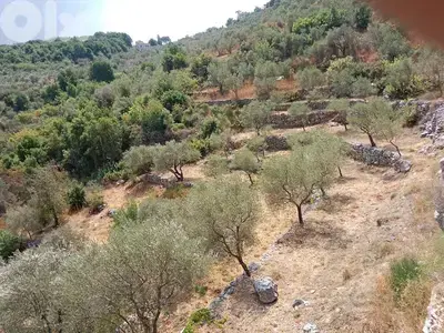 Land for sale in Assia Batroun below market price