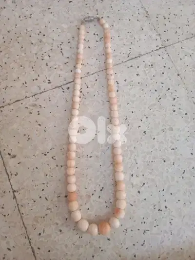 سن الفيل