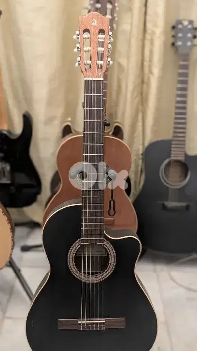 Alhambra professional guitar