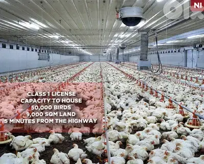 first-class poultry farm, prime location ,Jbeil/جبيل  REF#NI136211