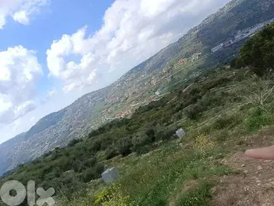ارض ٤٥٠٠م٢ في بطلون قضاء عاليه بسعر مغري