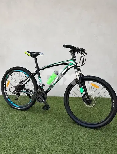Bicycle for Sale – $250