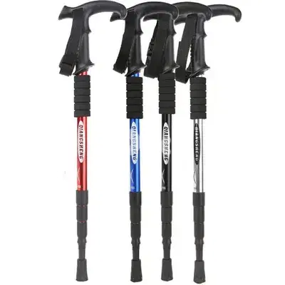 trekking pole