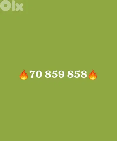 Special Touch prepaid number for Sale